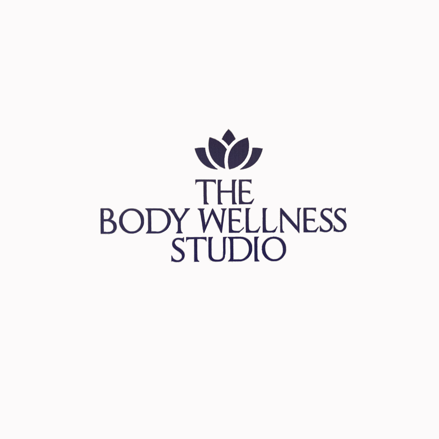 The Body Wellness Studio